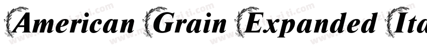 American Grain Expanded Italic字体转换